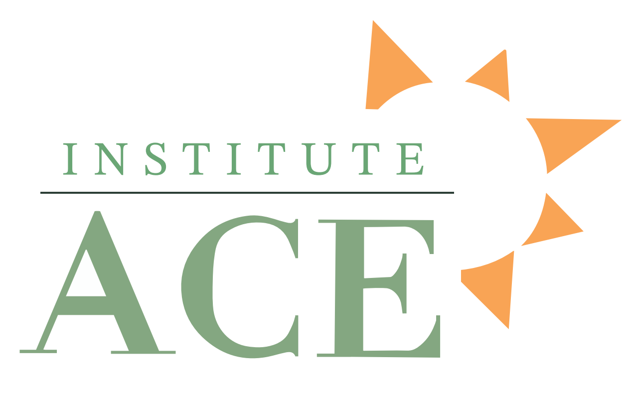 About Our Program — Institute ACE